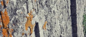 Ventadour Schloss_Meyras