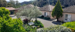 Maisons extérieur 2 - Catalpa - gîtes de Neyrac-les-Bains