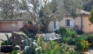 Maisons Extérieur - Châtaignier - gîtes de Neyrac-les-Bains