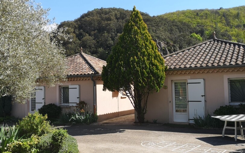 Tilleul et Albizia 2