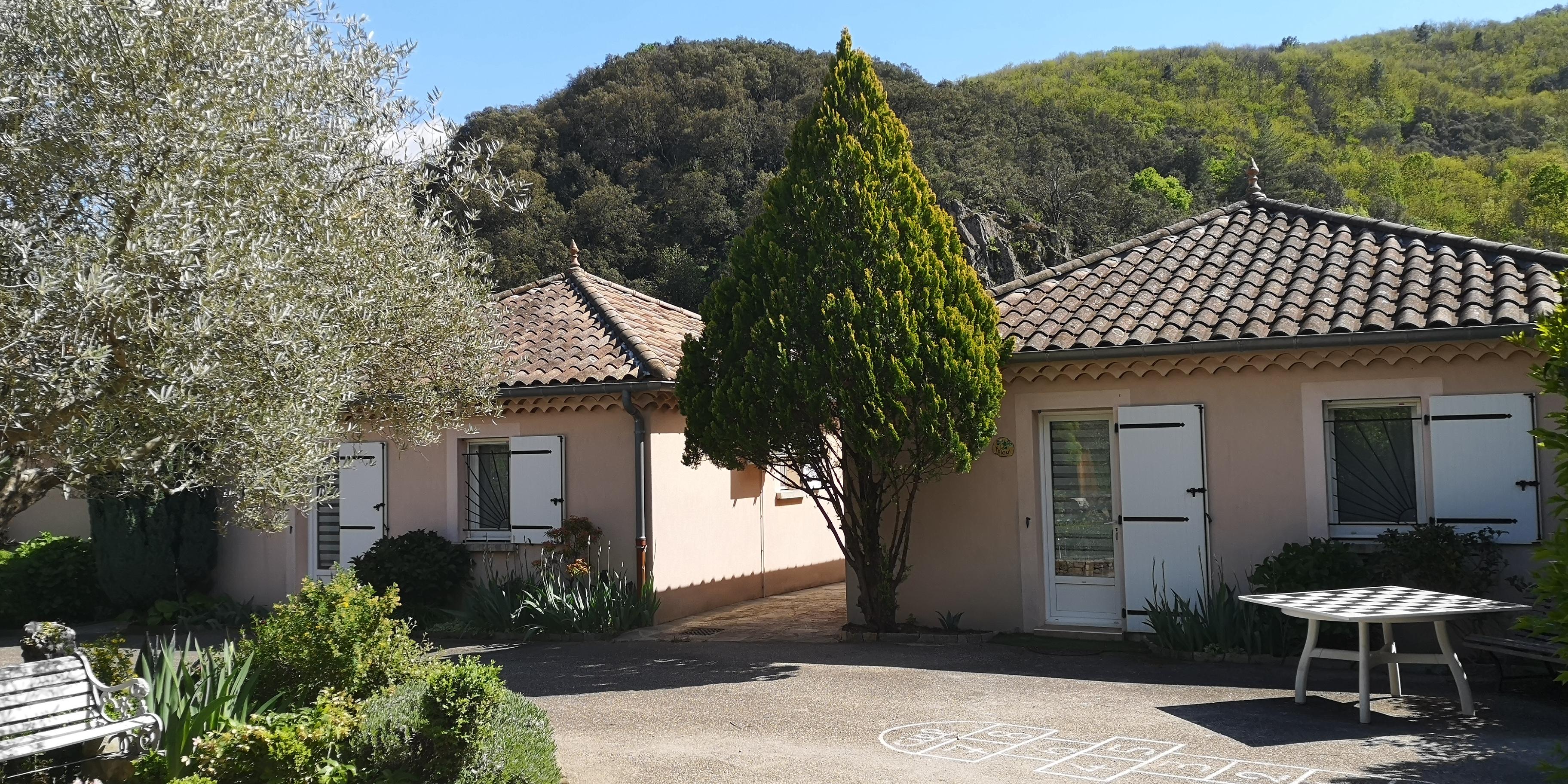 Tilleul et Albizia 2