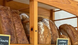 Les Frères Royé - bio shop_Meyras