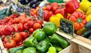 Les Frères Royé - bio shop_Meyras