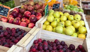 Les Frères Royé - bio shop_Meyras