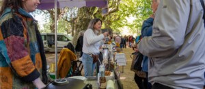 Meyras - Creators and Producers Market - Atelier Poissons Rouges