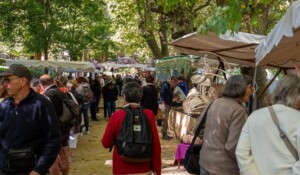 Markt mit Kunsthandwerkern und Produzenten