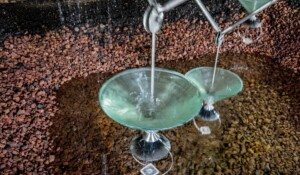 Meyras - Mofette ©sourcesetvolcans