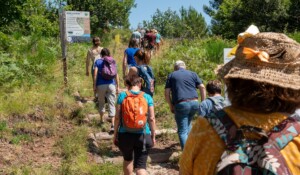 Geological walk at the Souilhol volcano_Meyras