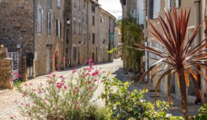 Meyras - Ruelle centre village