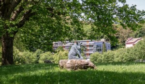 Meyras - Visite autour des thermes de Neyrac les Bains et la mofette - sanglier dans le parc thermal ©sourcesetvolcans