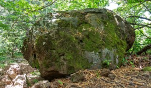 Wandern : Der Vulkan Souilhol