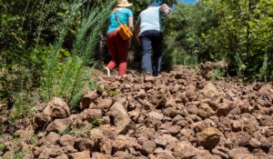 Wandern : Der Vulkan Souilhol