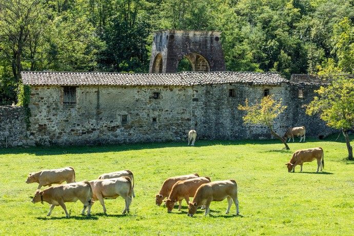 Anciennes Mines de Champgontier sur la commune de Prades en Ardèche (terrain privé), vestige de l'histoire industriel et minière (mines de charbon) en Ardèche