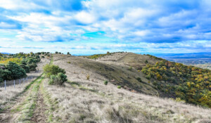 Sommet de la Croix de Juliau
