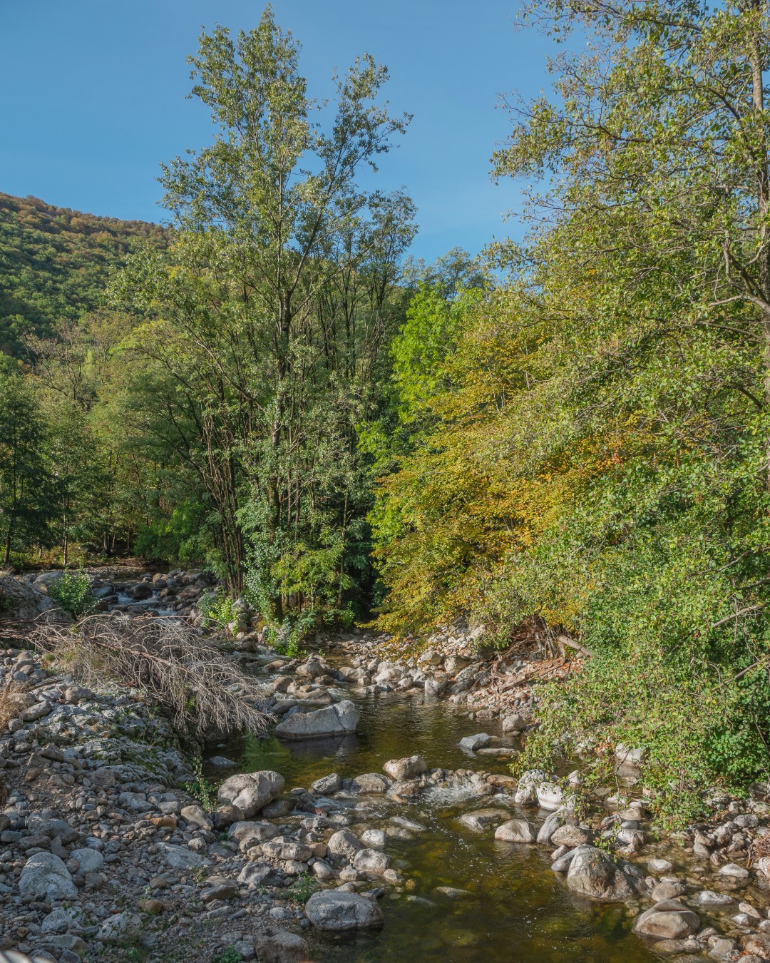 Mayres-vue-riviere-passerelle-du-moulin©sourcesetvolcans Mayres-vue-riviere-passerelle-du-moulin©sourcesetvolcans