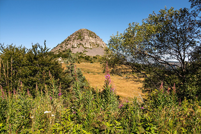 Le Monte Gerbier des Joncs