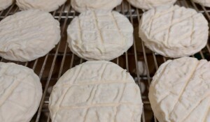 Montpezat sous Bauzon - Fromages de chèvre au Clos Bonnaud ©closbonnaud