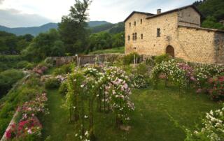Roseraie de Clastres - ©S.Bugnon