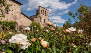 Montpezat-sous-Bauzon - roseraie en fleurs et Clastres