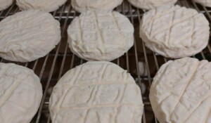 Montpezat sous Bauzon - Tommes de chèvre de la ferme du clos bonnaud