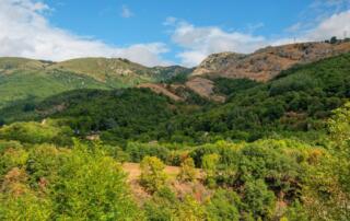 Montpezat-sous-Bauzon - Vue sur les monts d'Ardèche depuis belvédère Pourcherolles - ©sourcesetvolcans