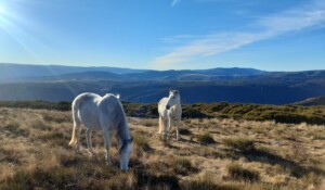 Guided hikes A mountain to live on