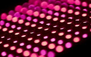 Musique, couleurs, groove - ©age-barros-unsplash
