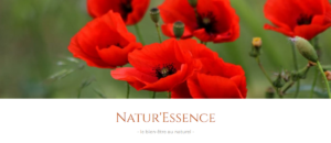 Natur'essence logo website