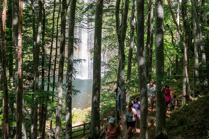 La nature autour de la cascade du Ray Pic