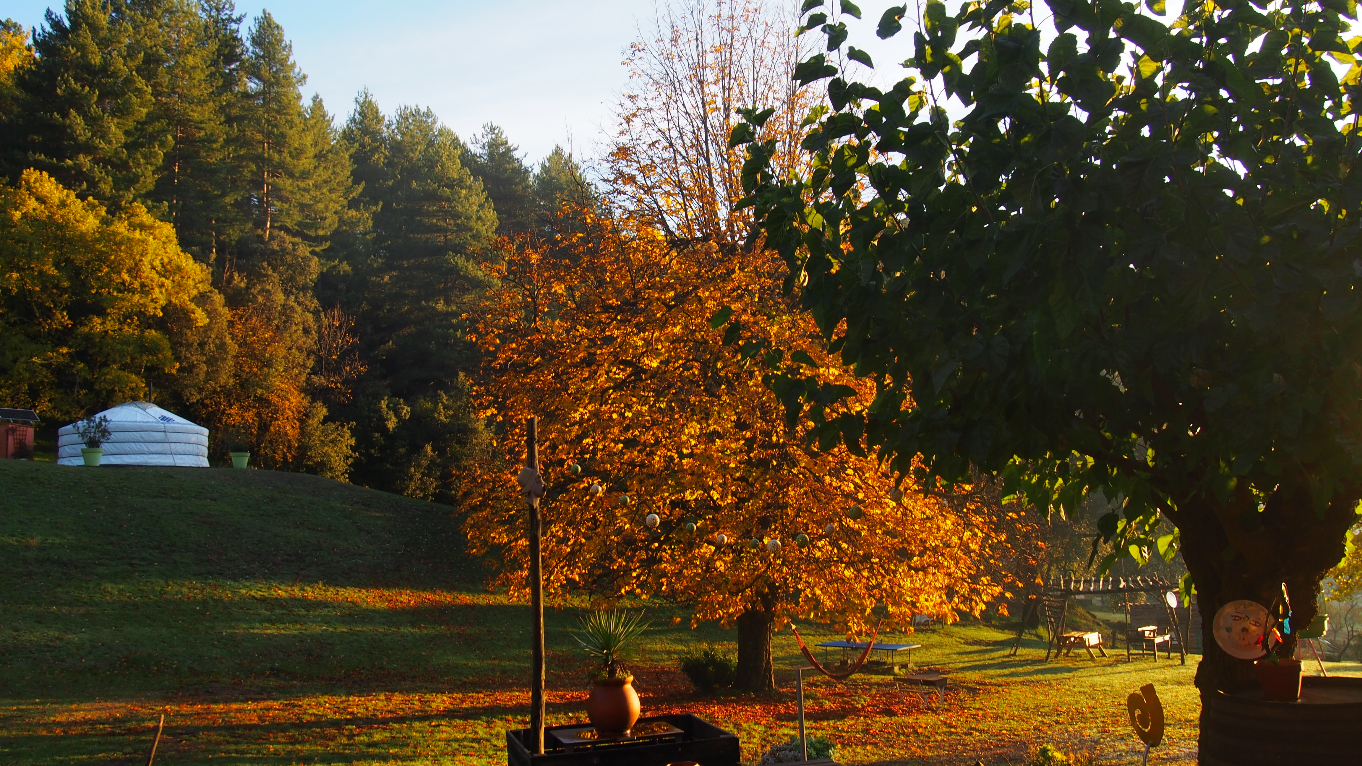 Arbres à l'automne autour de la yourte, hébergement insolite au Mas du Pestrin à Meyras