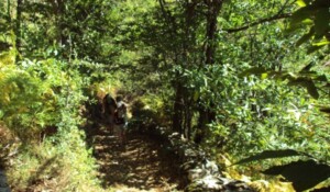 Petit sentier de randonnée