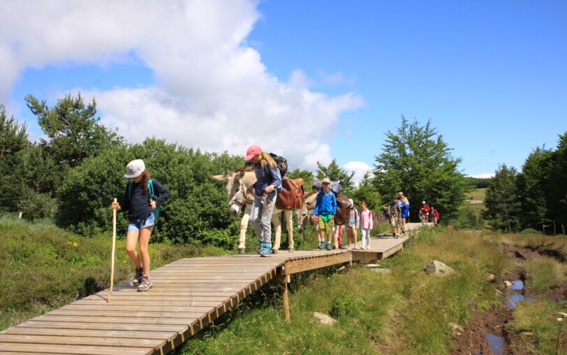 Découverte en famille des Sources de la Loire au pas de l'âne