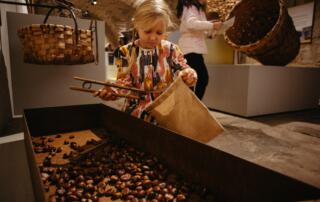 Jeu du ramassage de châtaignes - ©Raphael_Pellet_CevennesD_ardeche