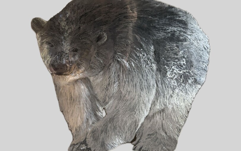 Exhibition : Corinne Dunand_Meyras