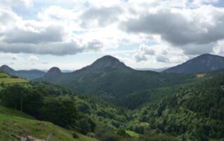 Touron - ©A Chesney