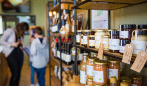 Boutique à l'Office