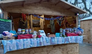 La myrtilleraie_Péreyres