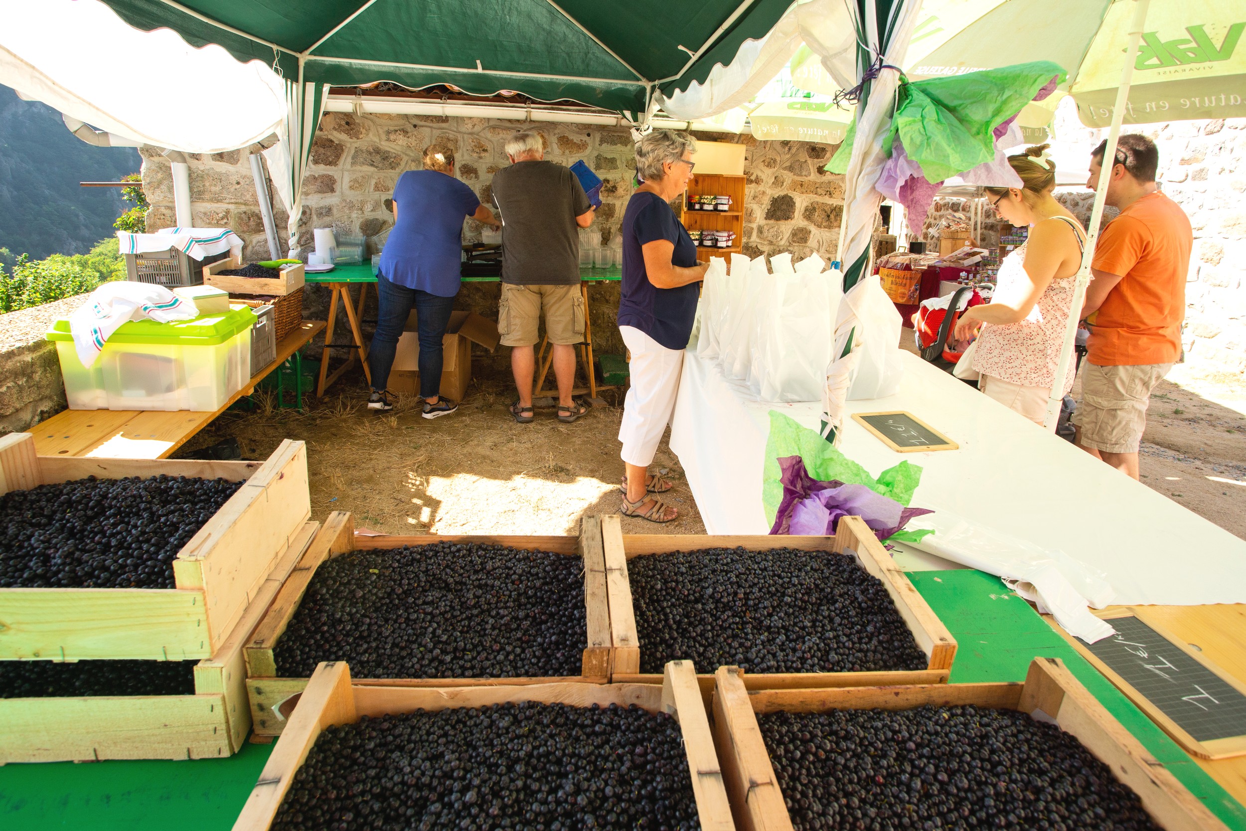 Péreyres - Fête de la Myrtille-3