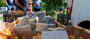 Péreyres - Fête de la myrtille - fromages et champignons ©sourcesetvolcans