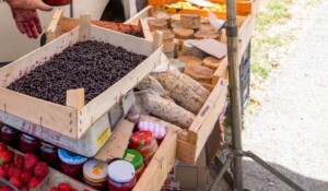 The Blueberry Festival