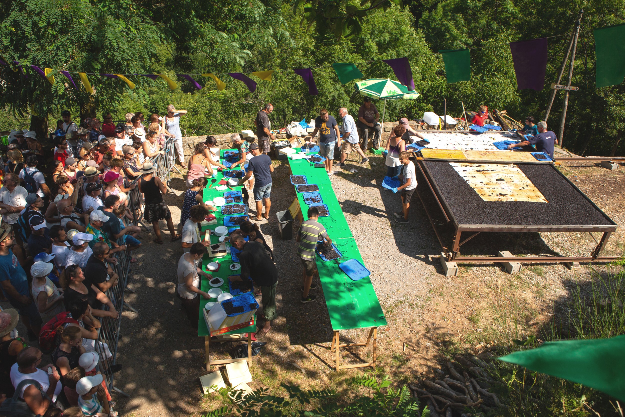 Péreyres - Fête de la Myrtille - Tarte géante ©S.BUGNON