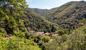 Péreyres - Fête de la myrtille - vue sur le village de péreyres©sourcesetvolcans