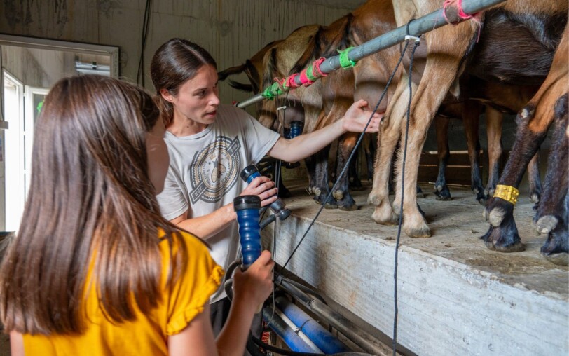 Visit the Péreyres goat farm_Péreyres