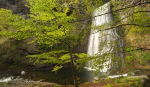 Ray Pic wasserfälle