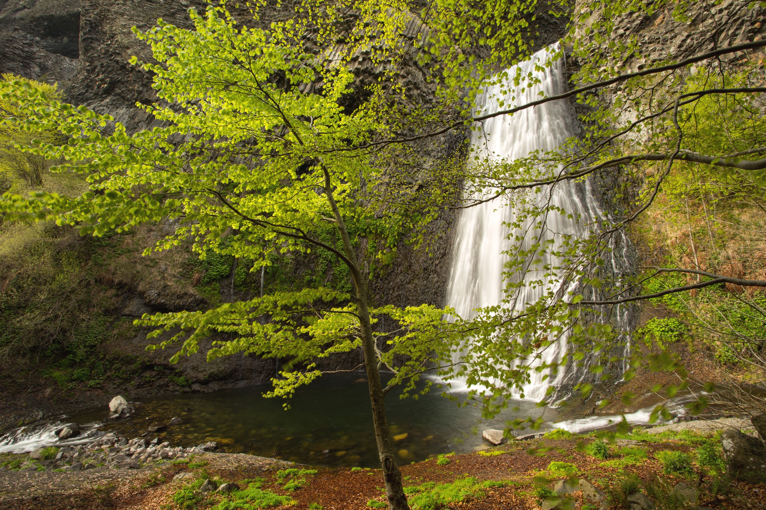 Péreyres - Le Ray-Pic-automne-2