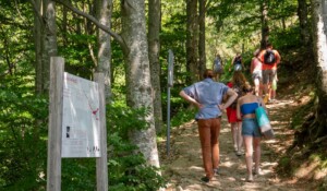 Hiking: From the village of Péreyres to the Ray Pic waterfall