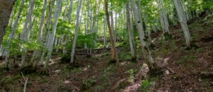 Hiking: From the village of Péreyres to the Ray Pic waterfall