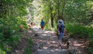 Péreyres - Ray Pic - marches sur le sentier vers la cascade ©sourcesetvolcans