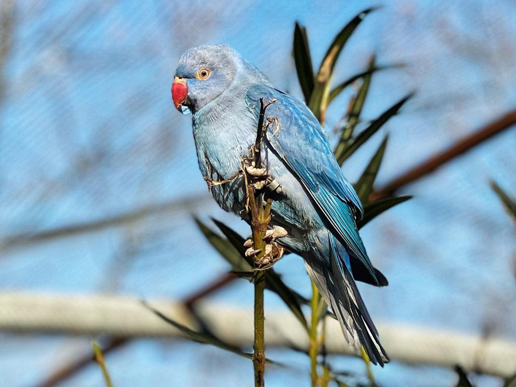 Lussas Wildlife Park