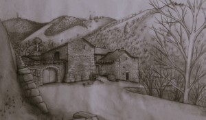 Perspective Grimaldes